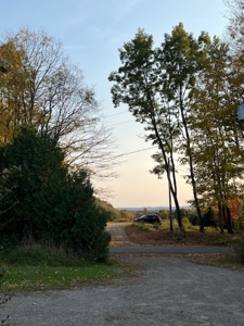 Large Acreage With Home For Sale in Dolgeville, New York - image 18