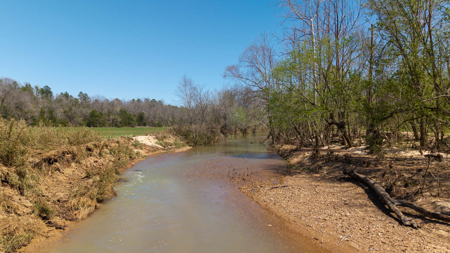 Home and Farm for sale in the Northern Arkansas Ozarks - image 39