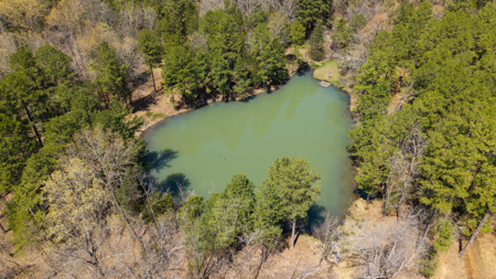 Home and Farm for sale in the Northern Arkansas Ozarks - image 43