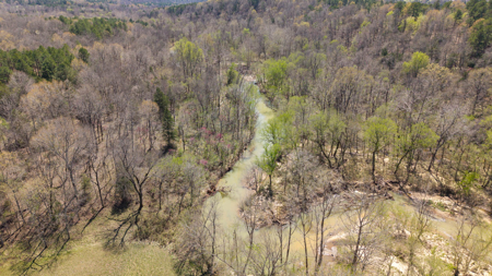 Home and Farm for sale in the Northern Arkansas Ozarks - image 40