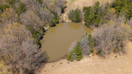 Home and Farm for sale in the Northern Arkansas Ozarks - image 46