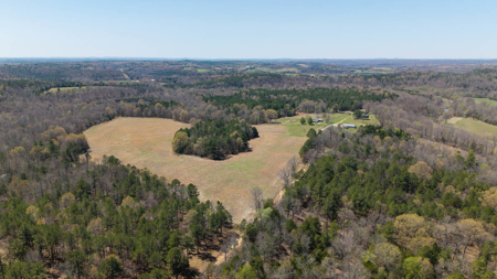 Home and Farm for sale in the Northern Arkansas Ozarks - image 3