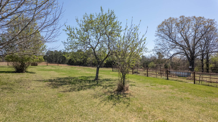Home and Farm for sale in the Northern Arkansas Ozarks - image 29