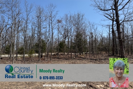 Ozarks Residential Lot In Horseshoe Bend Arkansas - image 7