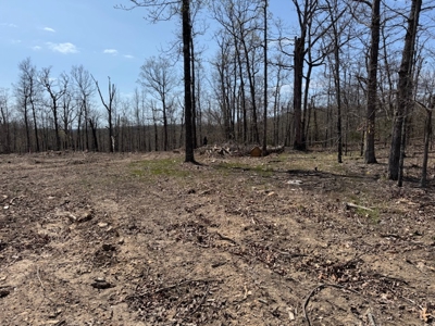 Ozarks Residential Lot In Horseshoe Bend Arkansas - image 5