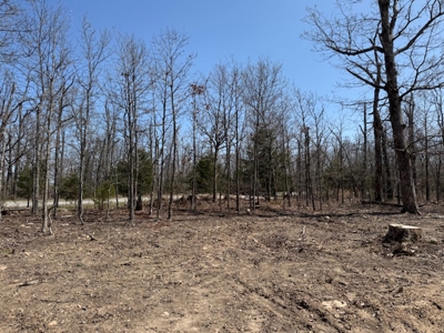 Ozarks Residential Lot In Horseshoe Bend Arkansas - image 1