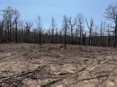 Ozarks Residential Lot In Horseshoe Bend Arkansas - image 3