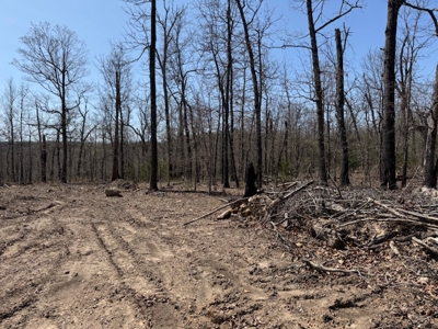 Ozarks Residential Lot In Horseshoe Bend Arkansas - image 4
