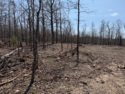 Ozarks Residential Lot In Horseshoe Bend Arkansas - image 6