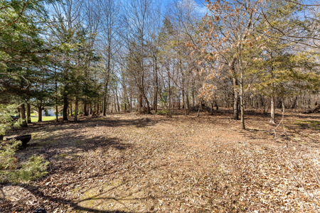 Charming Ranch Home in the Bent Tree subdivision, Baraboo WI - image 9