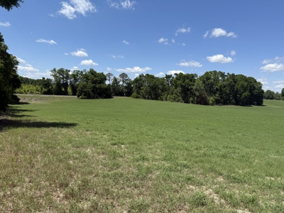 15.35 acres for sale just off 129 in Bell, Florida! - image 3