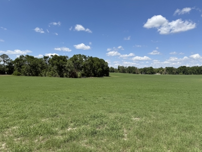 15.35 acres for sale just off 129 in Bell, Florida! - image 4