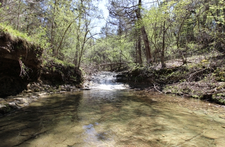 Home With Acreage On The White River In Baxter County, Arkansas - image 14
