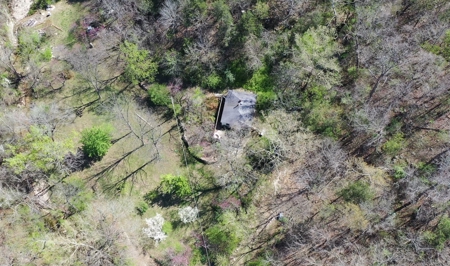 Home With Acreage On The White River In Baxter County, Arkansas - image 17