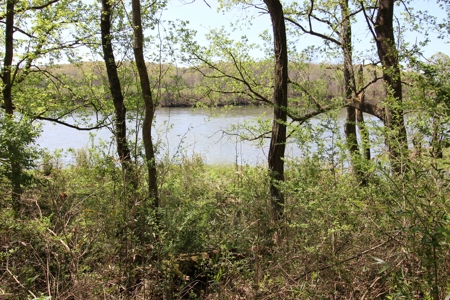 Home With Acreage On The White River In Baxter County, Arkansas - image 8