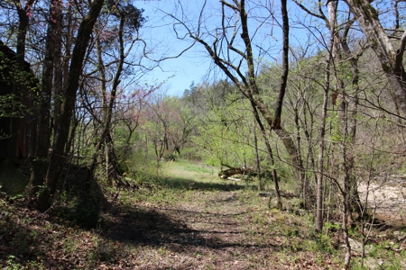 Home With Acreage On The White River In Baxter County, Arkansas - image 7