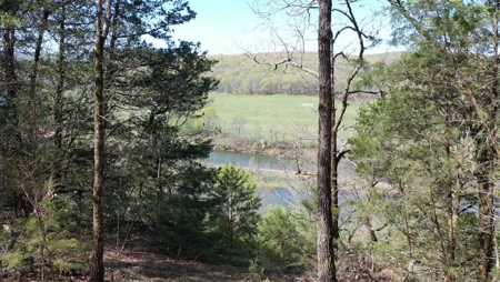 Home With Acreage On The White River In Baxter County, Arkansas - image 6