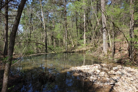 Home With Acreage On The White River In Baxter County, Arkansas - image 12