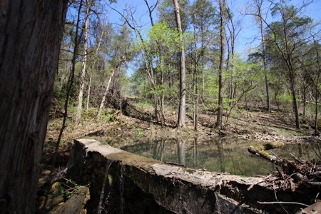 Home With Acreage On The White River In Baxter County, Arkansas - image 11