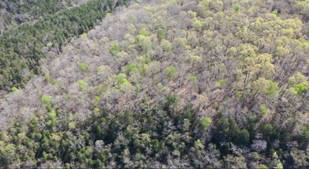 Home With Acreage On The White River In Baxter County, Arkansas - image 19