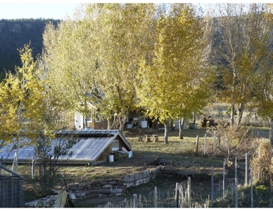 Northeastern New Mexico Farm For Sale - image 14