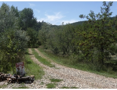 Northeastern New Mexico Farm For Sale - image 44