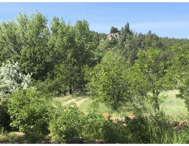 Northeastern New Mexico Farm For Sale - image 4