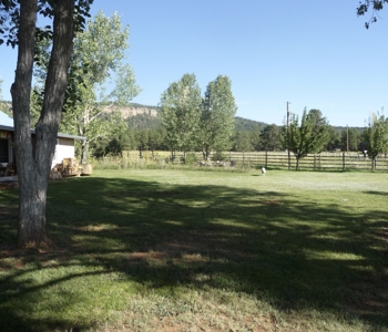 Northeastern New Mexico Farm For Sale - image 48