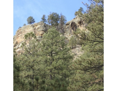Northeastern New Mexico Farm For Sale - image 24