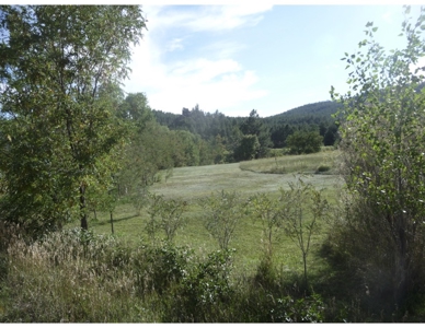 Northeastern New Mexico Farm For Sale - image 5