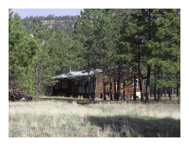 Northeastern New Mexico Farm For Sale - image 32