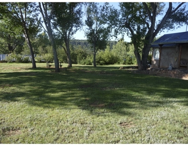 Northeastern New Mexico Farm For Sale - image 15