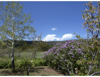 Northeastern New Mexico Farm For Sale - image 28