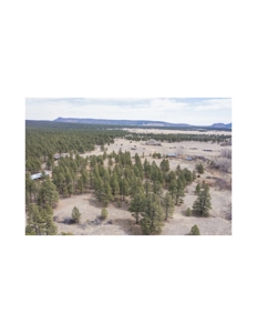 Northeastern New Mexico Farm For Sale - image 22