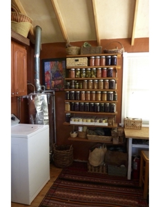 Northeastern New Mexico Farm For Sale - image 43