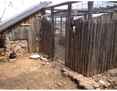 Northeastern New Mexico Farm For Sale - image 19