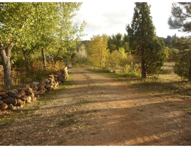 Northeastern New Mexico Farm For Sale - image 10