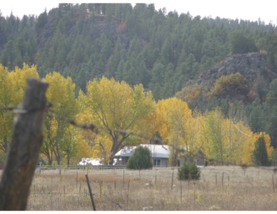 Northeastern New Mexico Farm For Sale - image 9