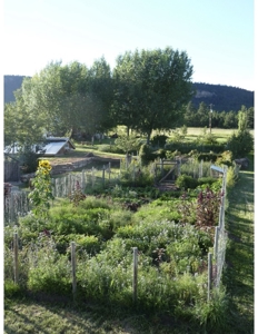 Northeastern New Mexico Farm For Sale - image 16