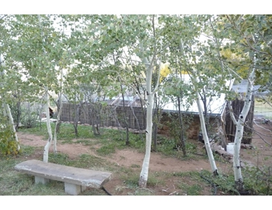 Northeastern New Mexico Farm For Sale - image 29