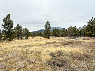 Log Cabin in the Little Rocky Mountains near Landusky Montana - image 30