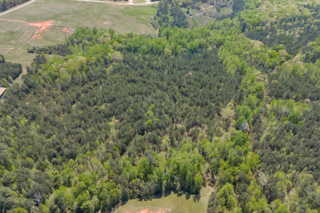 FOR SALE 45.68 Acres of Industrial Development Land  Elberton - image 26