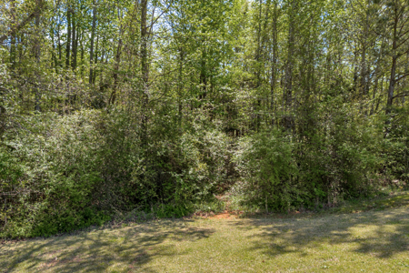 FOR SALE 45.68 Acres of Industrial Development Land  Elberton - image 32