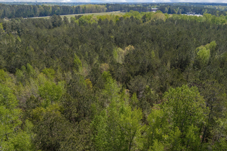 FOR SALE 45.68 Acres of Industrial Development Land  Elberton - image 23
