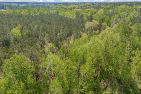 FOR SALE 45.68 Acres of Industrial Development Land  Elberton - image 30