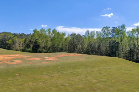 FOR SALE 45.68 Acres of Industrial Development Land  Elberton - image 8