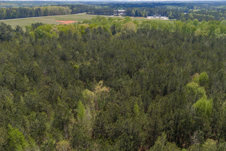 FOR SALE 45.68 Acres of Industrial Development Land  Elberton - image 27