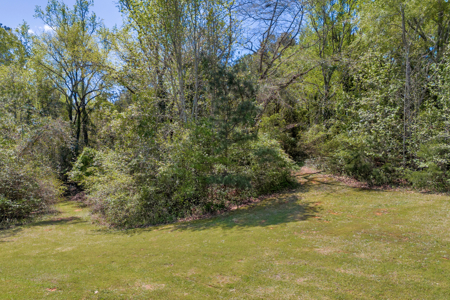 FOR SALE 45.68 Acres of Industrial Development Land  Elberton - image 31