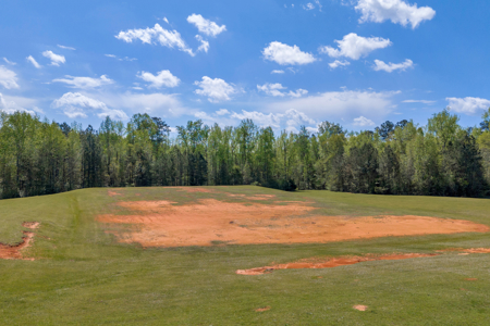 FOR SALE 45.68 Acres of Industrial Development Land  Elberton - image 7
