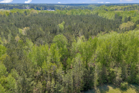 FOR SALE 45.68 Acres of Industrial Development Land  Elberton - image 22